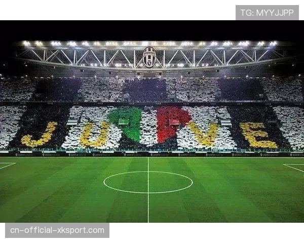 德甲俱乐部基础设施升级计划，多家球队启动球场改造